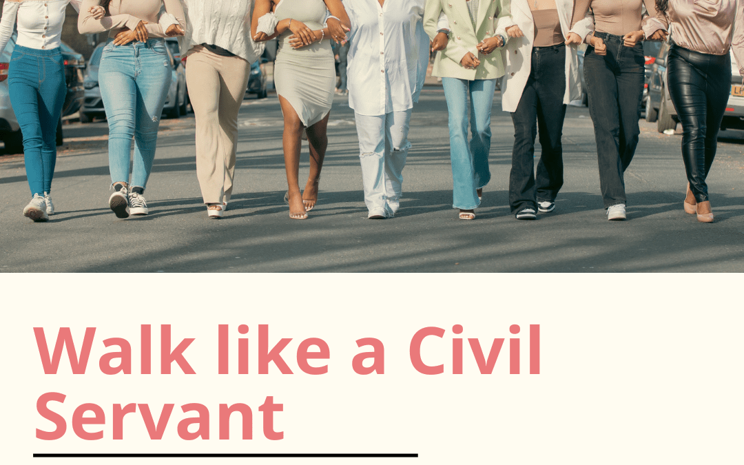 Civil Service Mentoring Skills Development-Walk like a Civil Servant